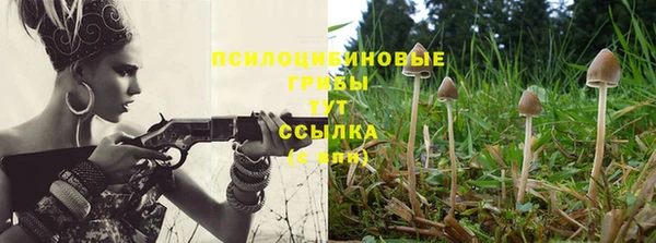 a pvp Алексеевка