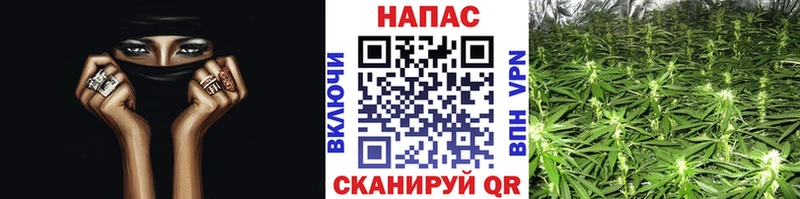 Каннабис OG Kush omg зеркало Болхов